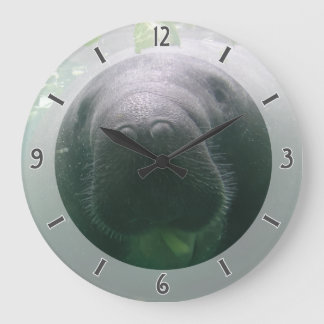 Große Runde der nachlässigen Manatis-Uhr Wanduhr