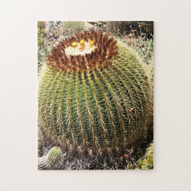 Große, runde Kakteen Puzzle (Vertikal)