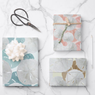 Große Sanddollars gemustertes flaches Geschenkpapi Geschenkpapier Set