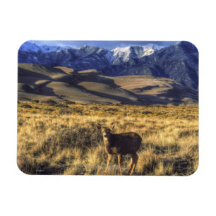 Große Sanddünen Nationalpark, Colorado Magnet