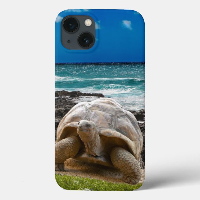 Große Schildkröte am Seerand Case-Mate iPhone Hülle (Rückseite)