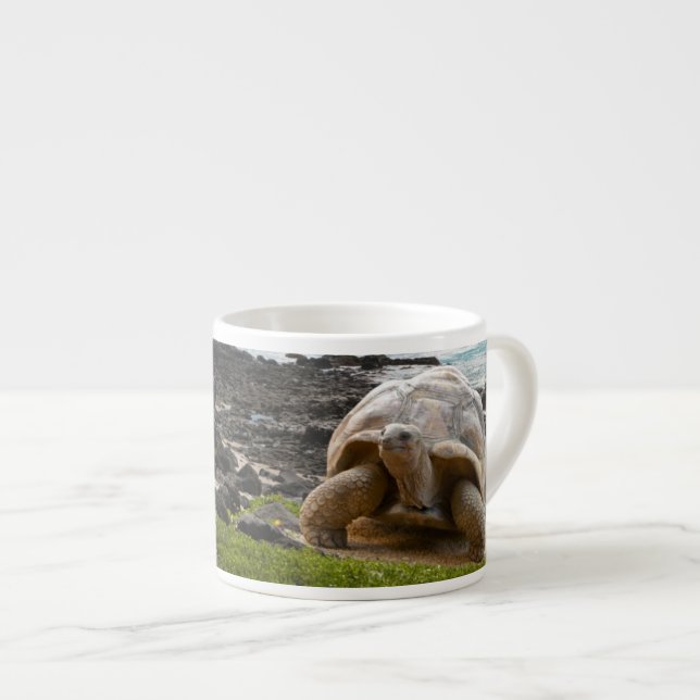 Große Schildkröte am Seerand Espressotasse (Vorderseite Rechts)