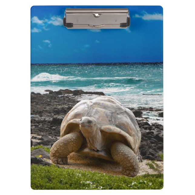 Große Schildkröte am Seerand Klemmbrett (Vorderseite)