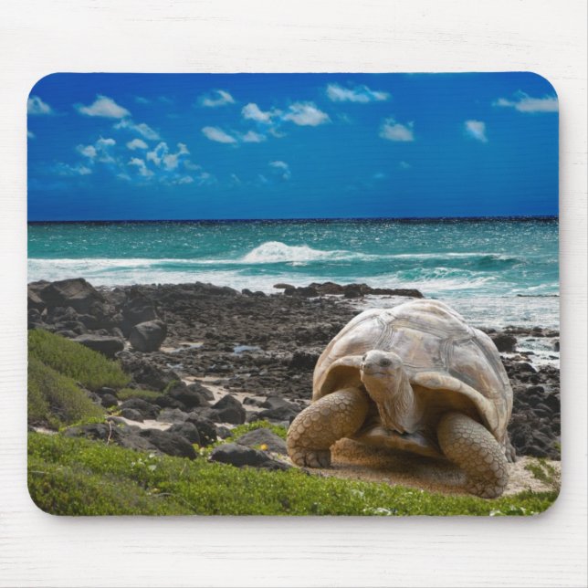 Große Schildkröte am Seerand Mousepad (Vorne)