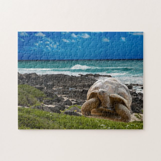 Große Schildkröte am Seerand Puzzle (Horizontal)