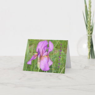 Große schöne Iris, Beileid Karte