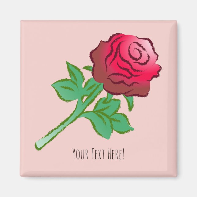 Große schöne rote Rose Magnet (Vorne)