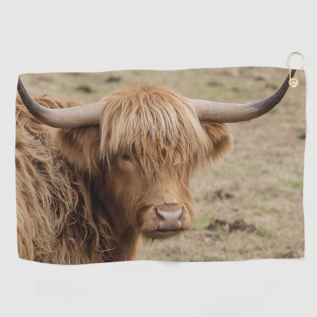 Große schottische Hochlandkuh Golfhandtuch (Horizontal)