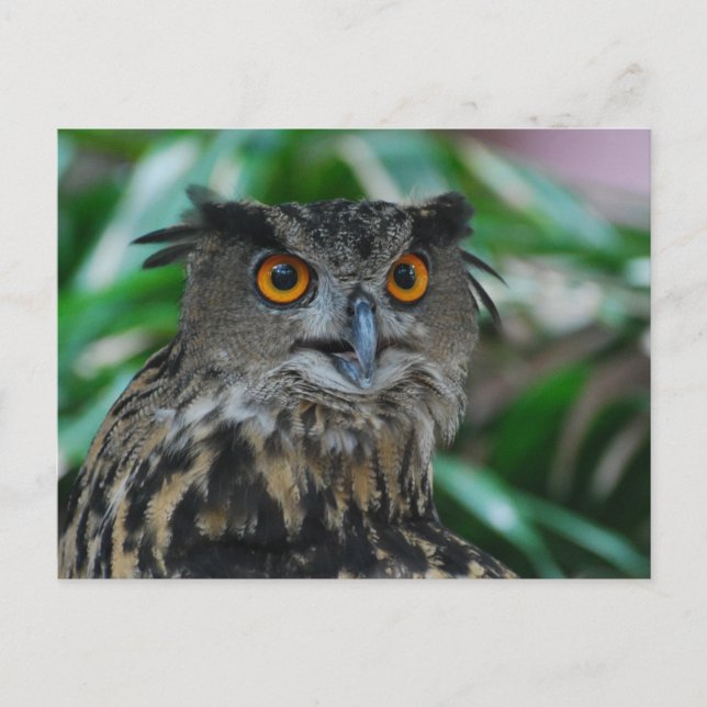 Große Schüssel Postkarte (Vorderseite)