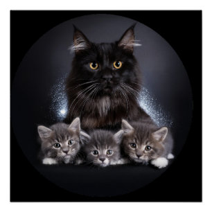 Große schwarze Katze und ihre 3 Kätzchen Pose für  Poster
