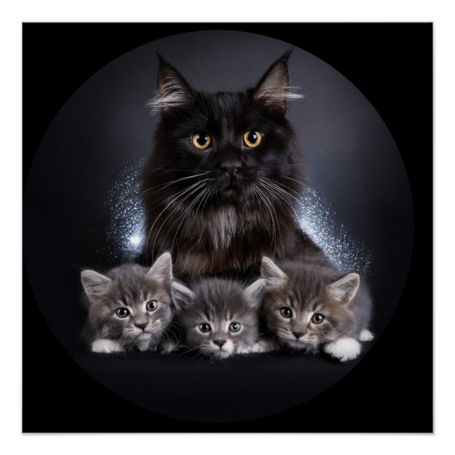 Große schwarze Katze und ihre 3 Kätzchen Pose für  Poster (Vorderseite)
