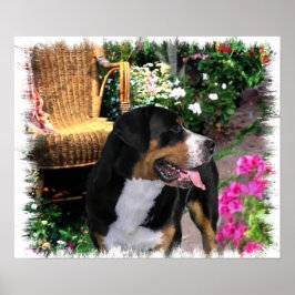 Grosse Schweizer Hundelandkunst Poster