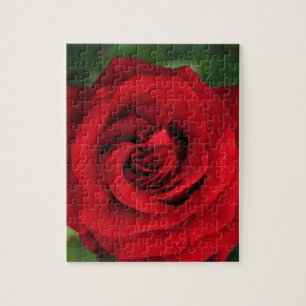 Große Single-Rote Rose Nah Puzzle