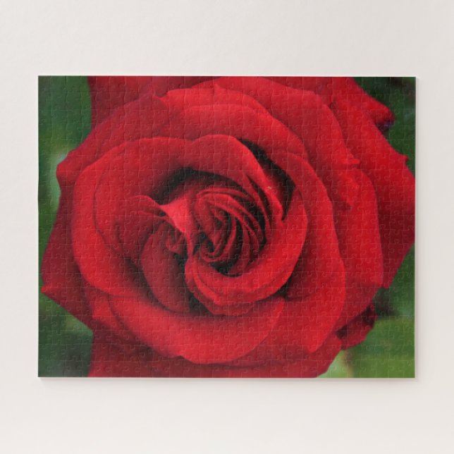Große Single-Rote Rose Nah Puzzle (Horizontal)