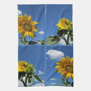 große Sonnenblume scheint gelb blauer Himmel weiß Geschirrtuch