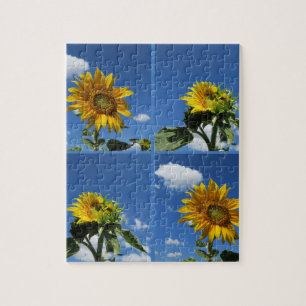 große Sonnenblume scheint gelb blauer Himmel weiß  Puzzle