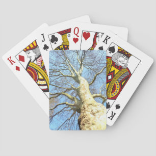 Große sonnige Baumzweige im Himmlischen blauen Him Spielkarten