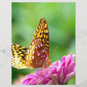 Große Spangled Fritillary