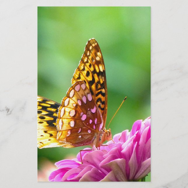 Große Spangled Fritillary Briefpapier (Vorderseite)