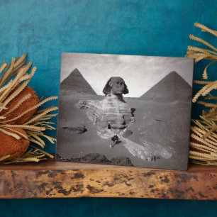 Große Sphinx & Gräberfeld der Pyramiden von Gizeh  Fotoplatte