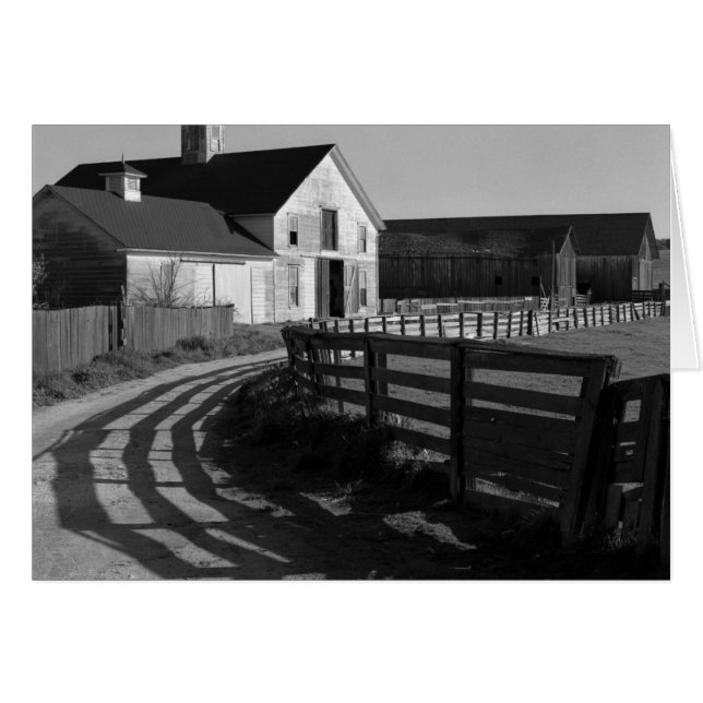 Große Stall und Straße, März 1966 (Vorderseite (Horizontal))