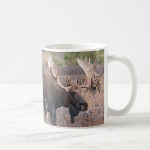 Große Stier-Elche Tasse