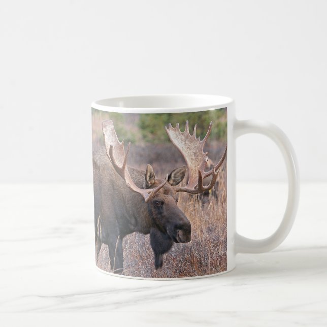 Große Stier-Elche Tasse (Rechts)