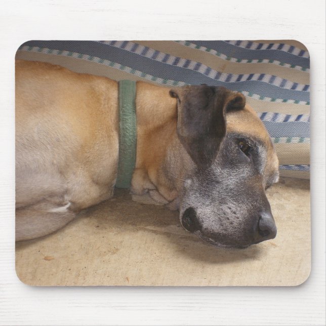 Große süße Deutsche Dogge Mousepad (Vorne)