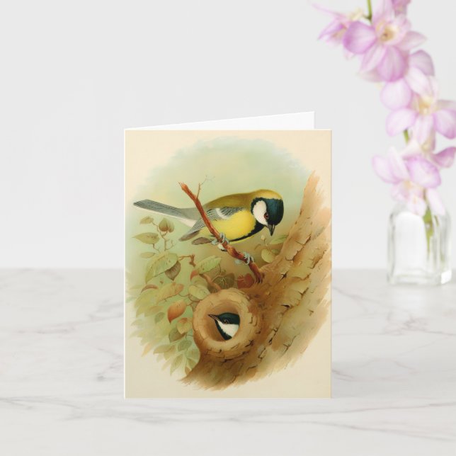Große Titte - farbenfroher Vogel, Kunst Karte (Orchidee)