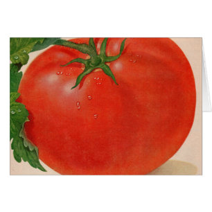 große Tomate
