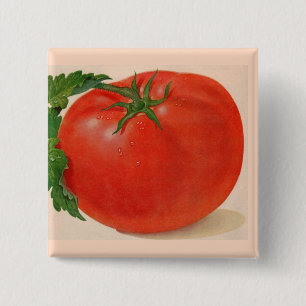 große Tomate Button