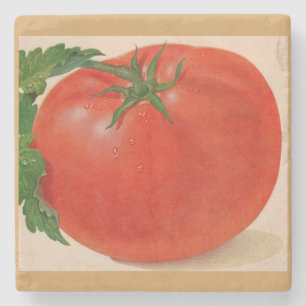 große Tomate Steinuntersetzer