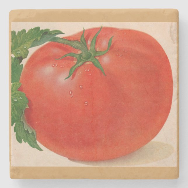 große Tomate Steinuntersetzer (Vorderseite)
