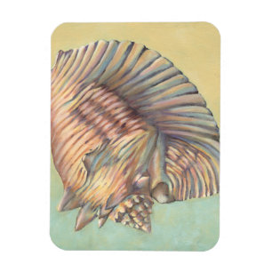 Große Tritonshorn-PastellMuschel Magnet