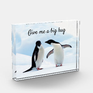 Große Umarmung Pinguin auf Eis-Foto mit Text Fotoblock