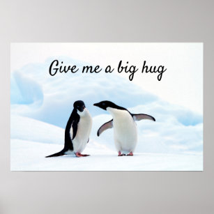 Große Umarmung Pinguin auf Eis-Foto mit Text Poster