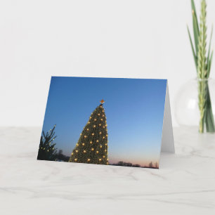 Große und kleine Weihnachtsbäume I Feiertagskarte