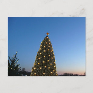 Große und kleine Weihnachtsbäume I Feiertagspostkarte