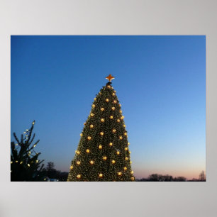 Große und kleine Weihnachtsbäume I Poster