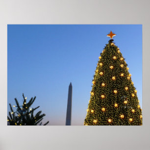 Große und kleine Weihnachtsbäume II Urlaub in DC Poster