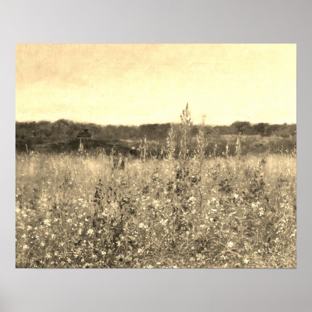 Große Vintage botanische Golfregion Poster (Vorne)