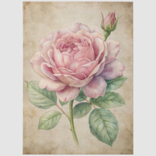 Große Vintage, Inspirierte Rosendekoupage Seidenpapier