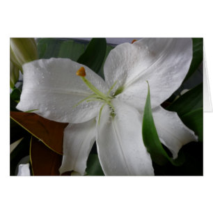 große weiße Blume