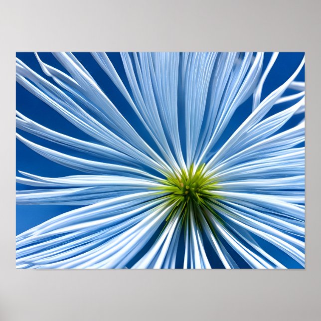 große weiße Blume mit blauem Himmel Poster (Vorne)