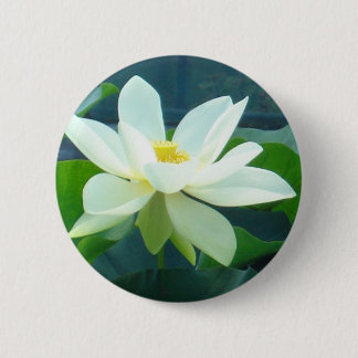 große weiße Lilie Button