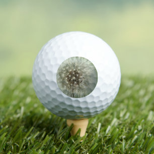 Große Weiße Löwenzahn Golfball