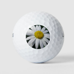 Große Weiße Margerite Golfball