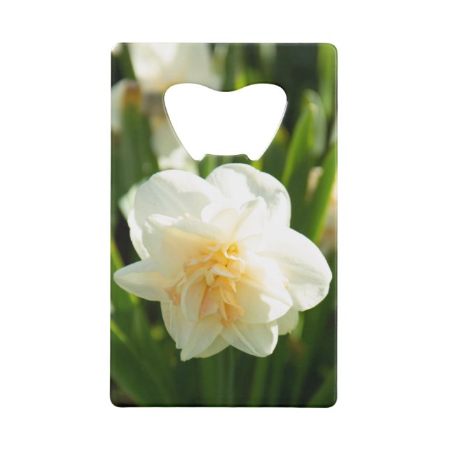 Große weiße Narzissen an einem Frühlingstag Geldbeutel Flaschenöffner (Vorderseite)