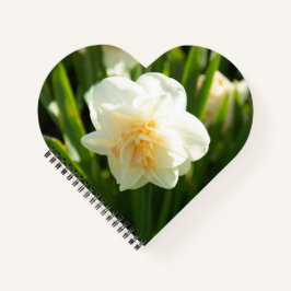 Große weiße Narzissen an einem Frühlingstag Notizbuch