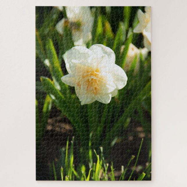 Große weiße Narzissen an einem Frühlingstag Puzzle (Vertikal)